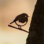Metalbird
MINI
roodborstje